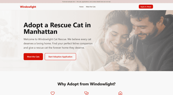 Cat adoption website