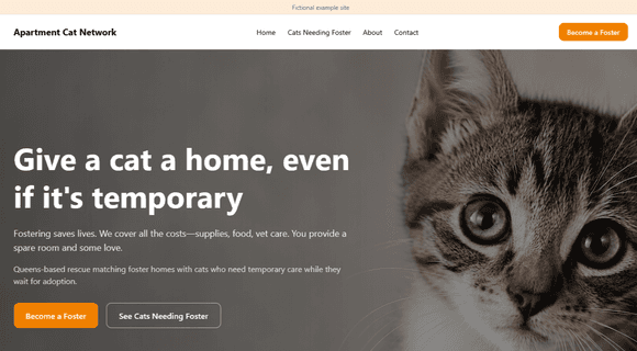 Cat foster website