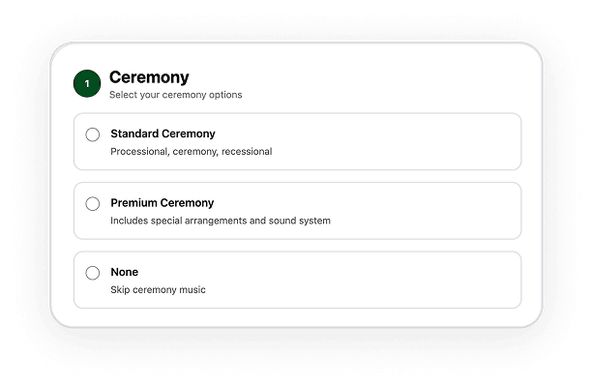 Website options panel