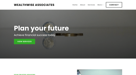 Financial advisor website